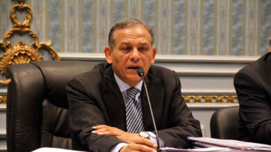 محمد أنور السادات " رئيس حزب الإصلاح والتنمية